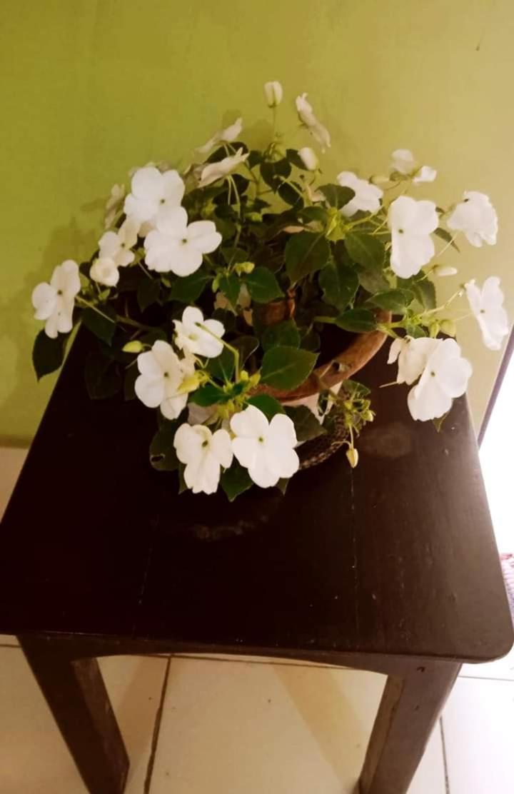 Bhoboghure Homestay Santiniketan Bolpur Buitenkant foto