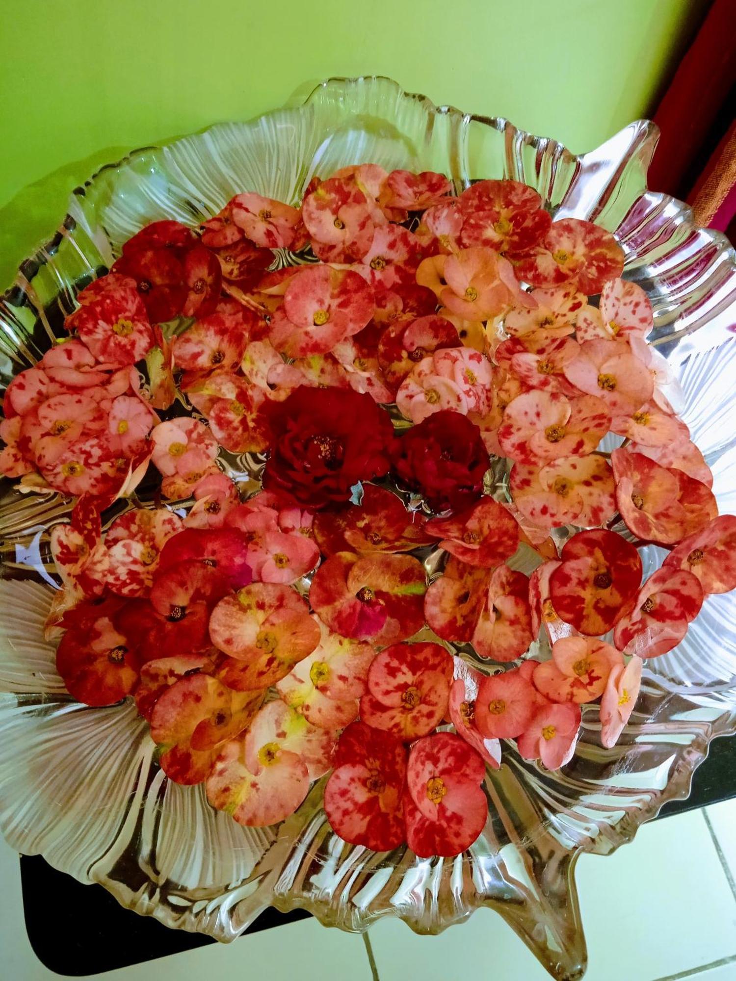 Bhoboghure Homestay Santiniketan Bolpur Buitenkant foto