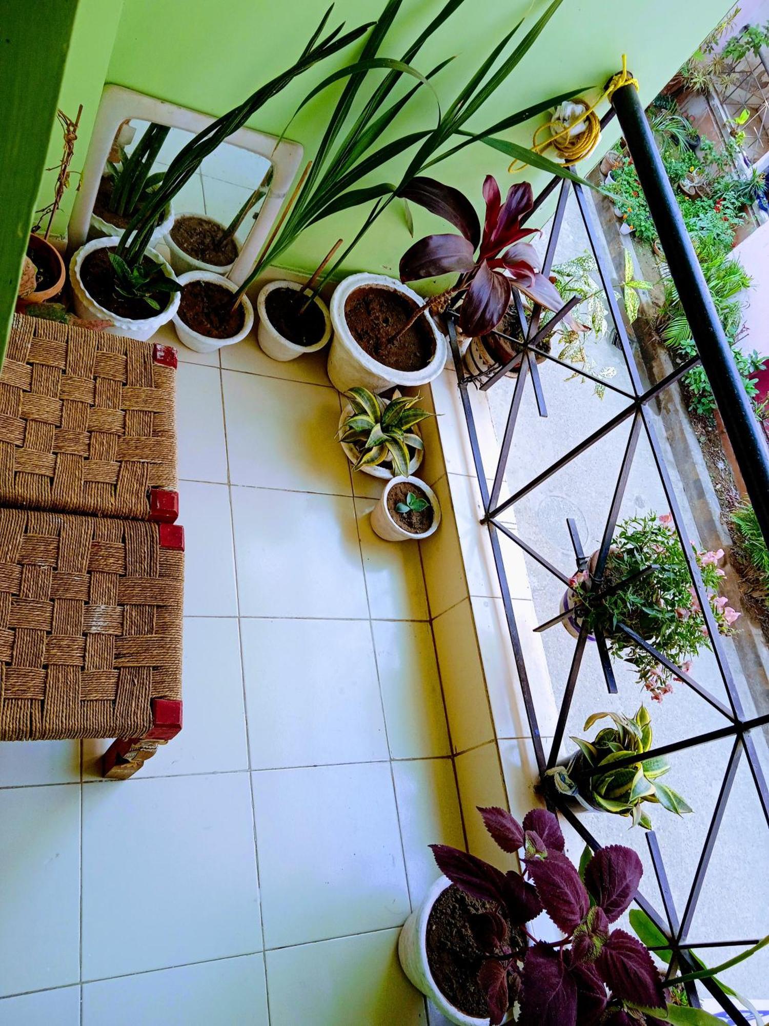 Bhoboghure Homestay Santiniketan Bolpur Buitenkant foto